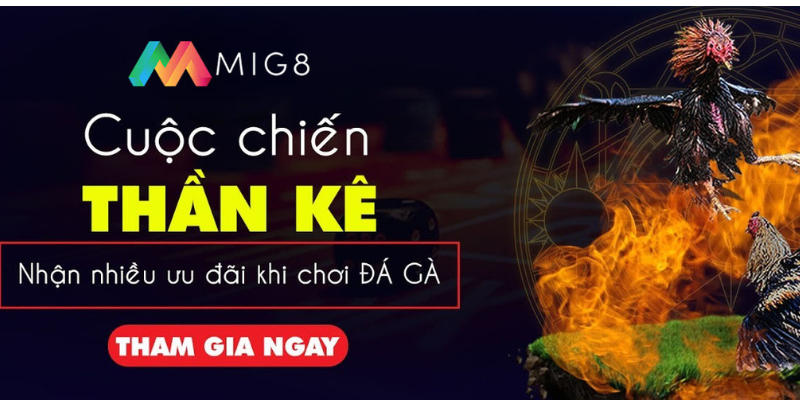 Cùng tham gia đá gà Mig8 ngay nhé