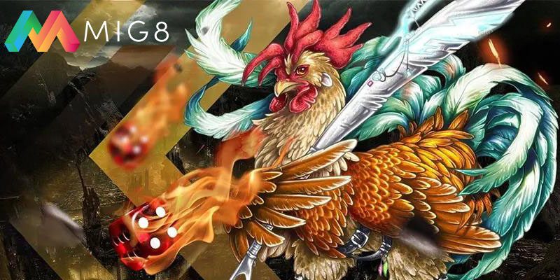Đá gà Mig8 - chiến trường cá cược uy tín 