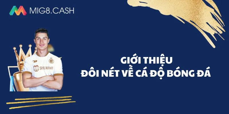 Giới thiệu đôi nét về cá độ bóng đá Mig8