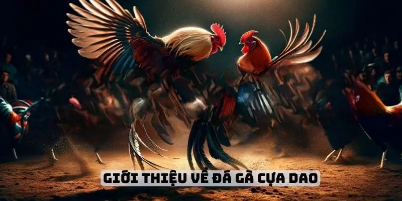 Giới thiệu về đá gà cựa dao