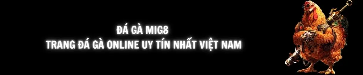 ĐÁ-GÀ-CHUYÊN-MỤC