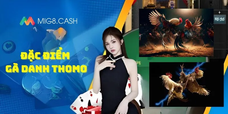 ĐẶC ĐIỂM GÀ DANH THOMO