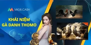 Khái niệm gà danh thomo