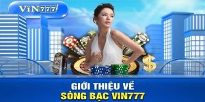 Casino Vin777